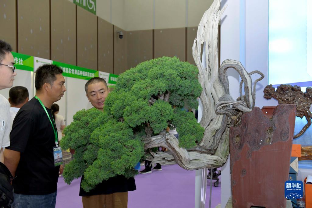 博一论坛白菜大全